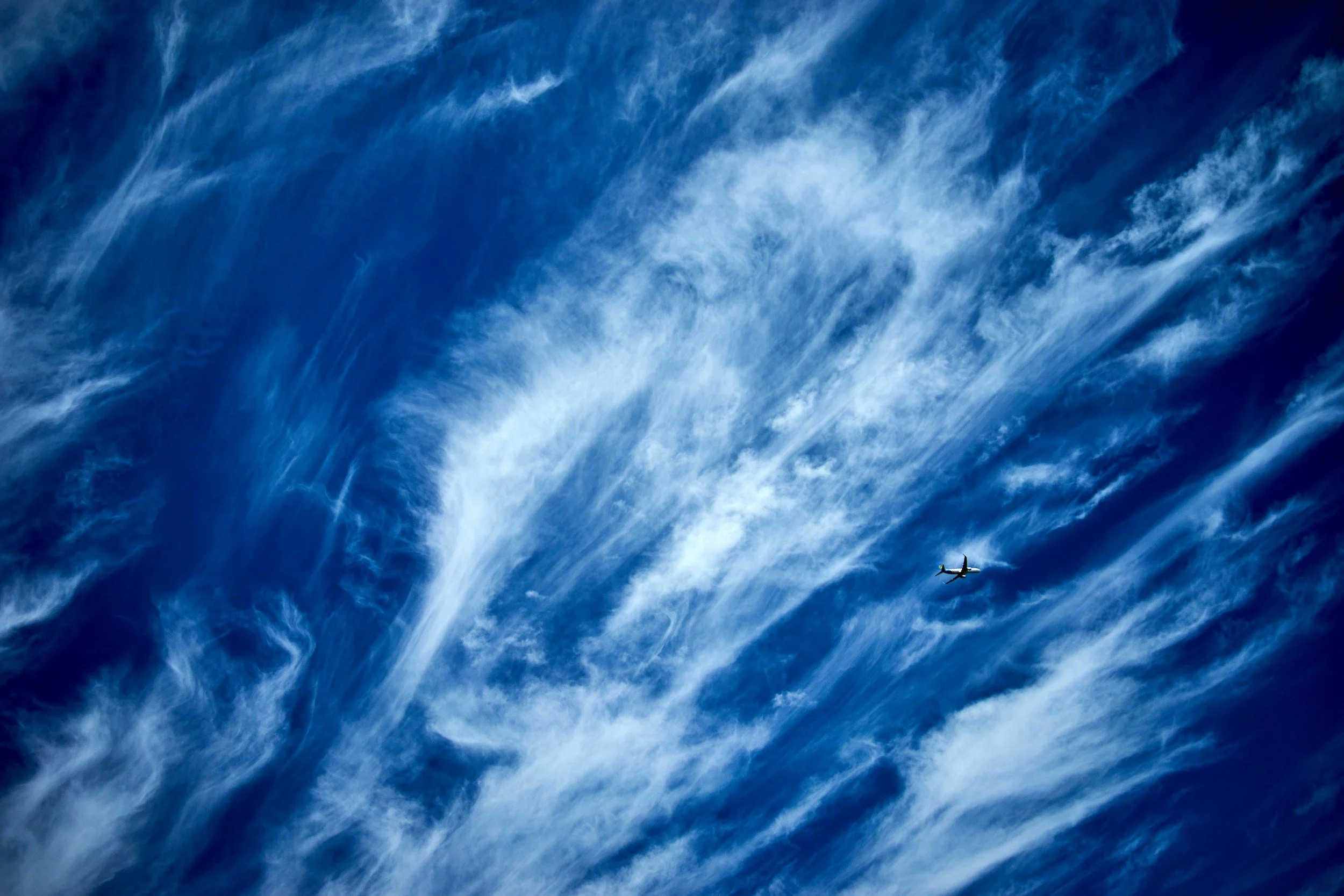 The 4 Elements in Your Business