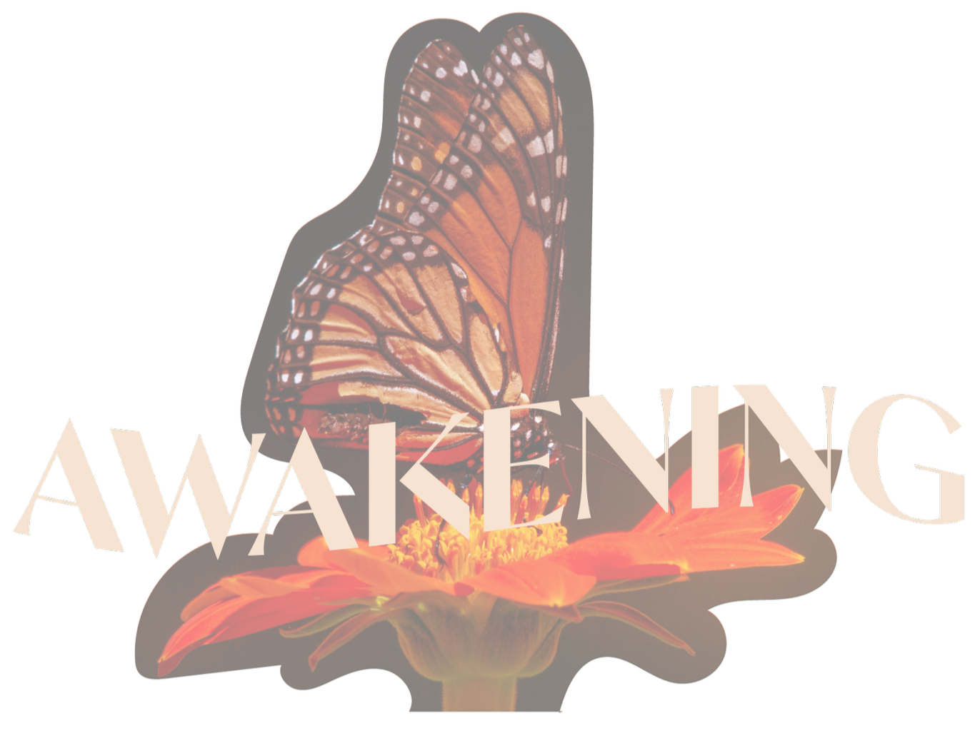 A monarch butterfly perched on an orange flower with the word "AWAKENING" written across the image.