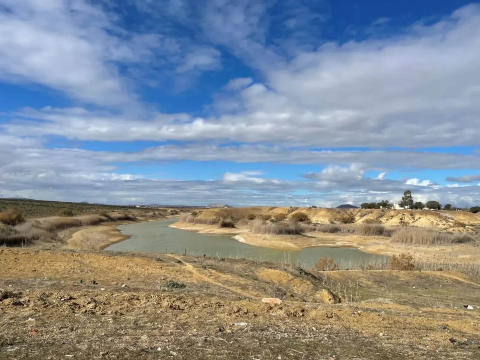 Blooming in the Dry: How Smart Irrigation is Transforming Tunisia’s Agriculture