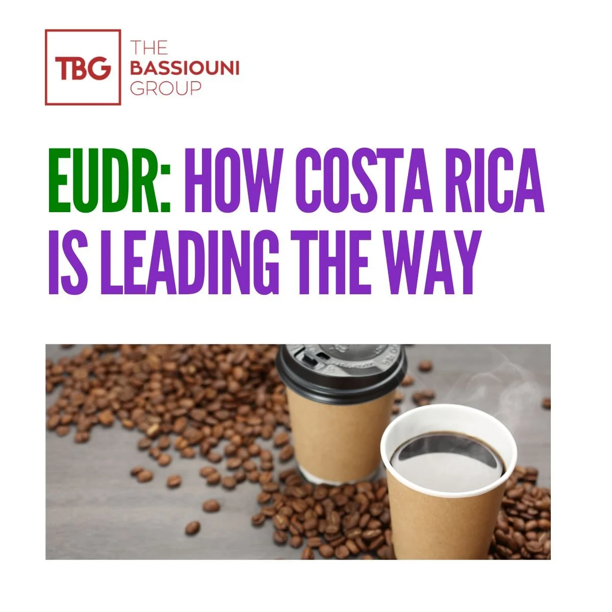 EUDR: How the Costa Rica Coffee Industry is Leading the Way