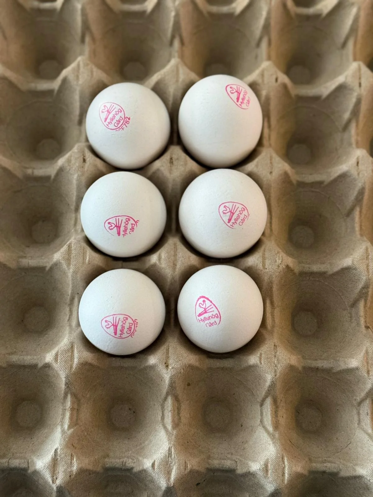 Organic Eggs from Skåne (Eko Ägg)