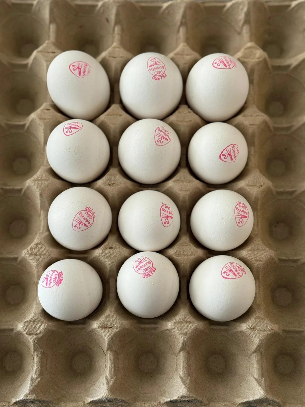 organic-eggs-12-SQ2828188.jpeg