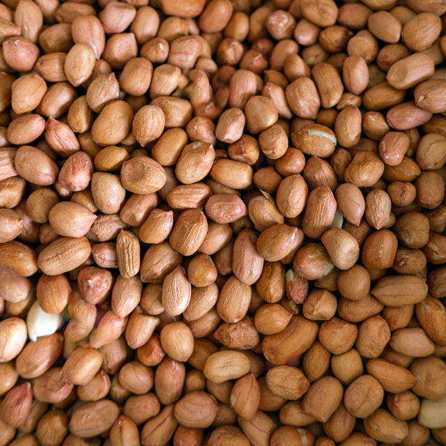 Organic Peanuts with Skin - Jordnötter Eko