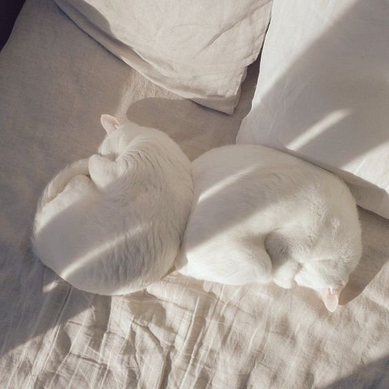 Hvorfor din mave kan finde på at rumle under en behandling, meditation eller yogaklasse.