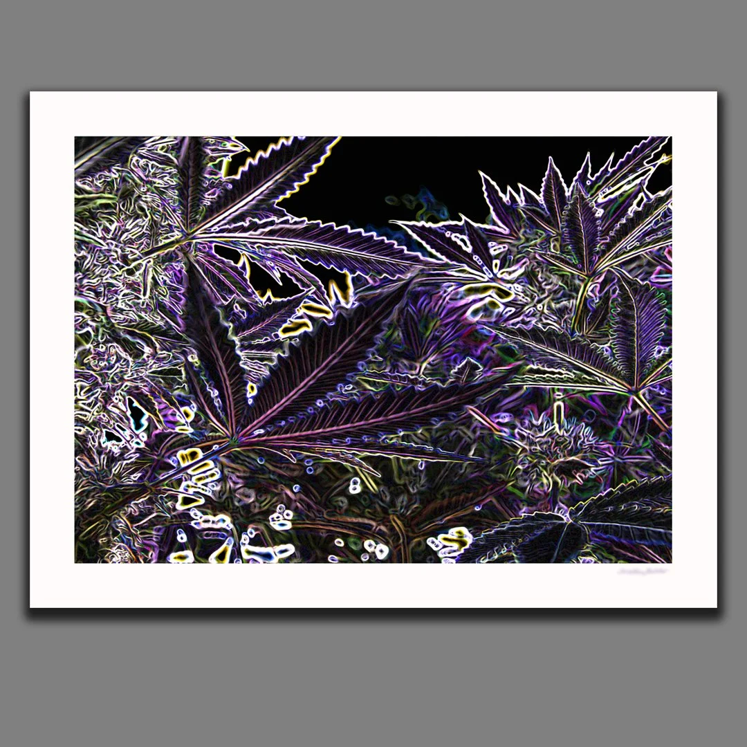 The Lost Paradise 2 - Large Format Fine Art Photography and Digital Manipulation by MyMuseMaryJane