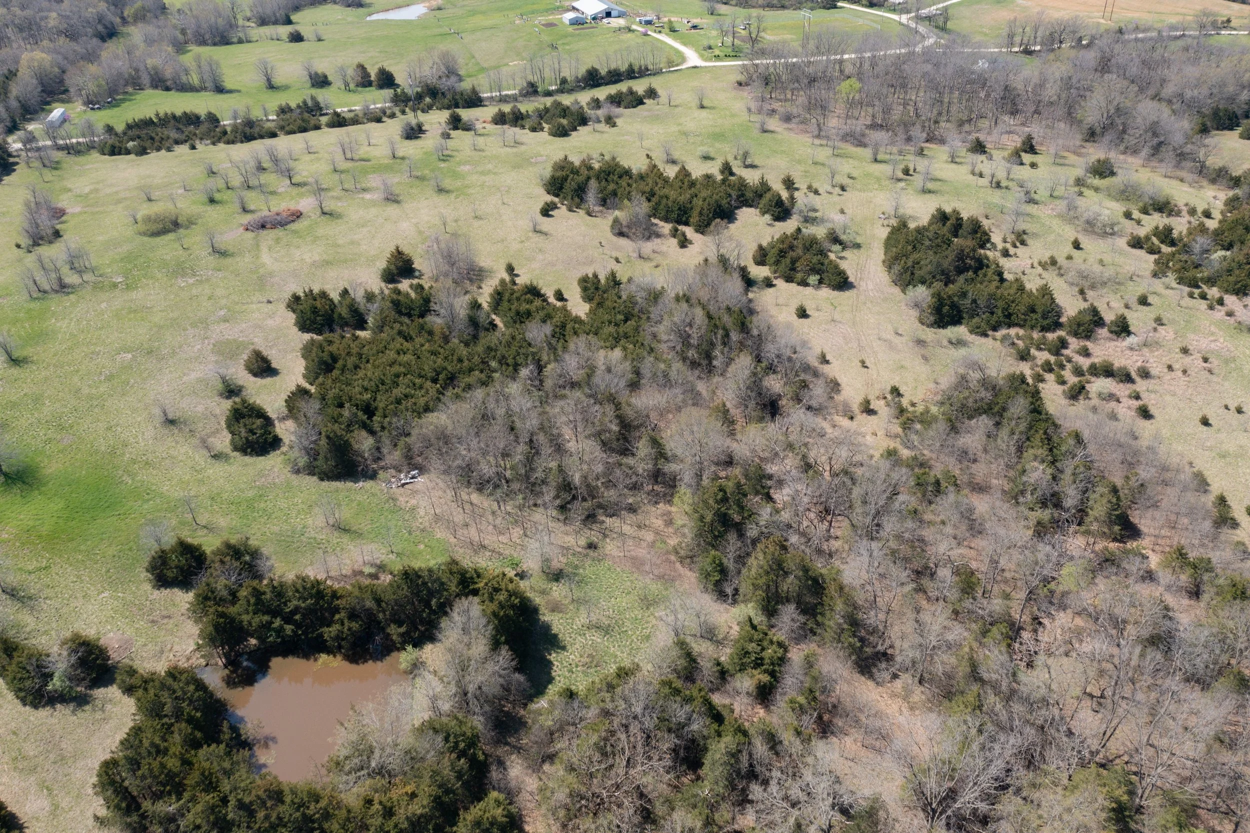 aerial-11.jpg