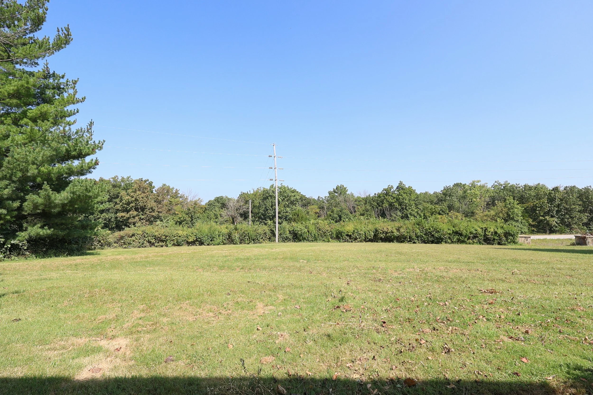 Front yard.jpg