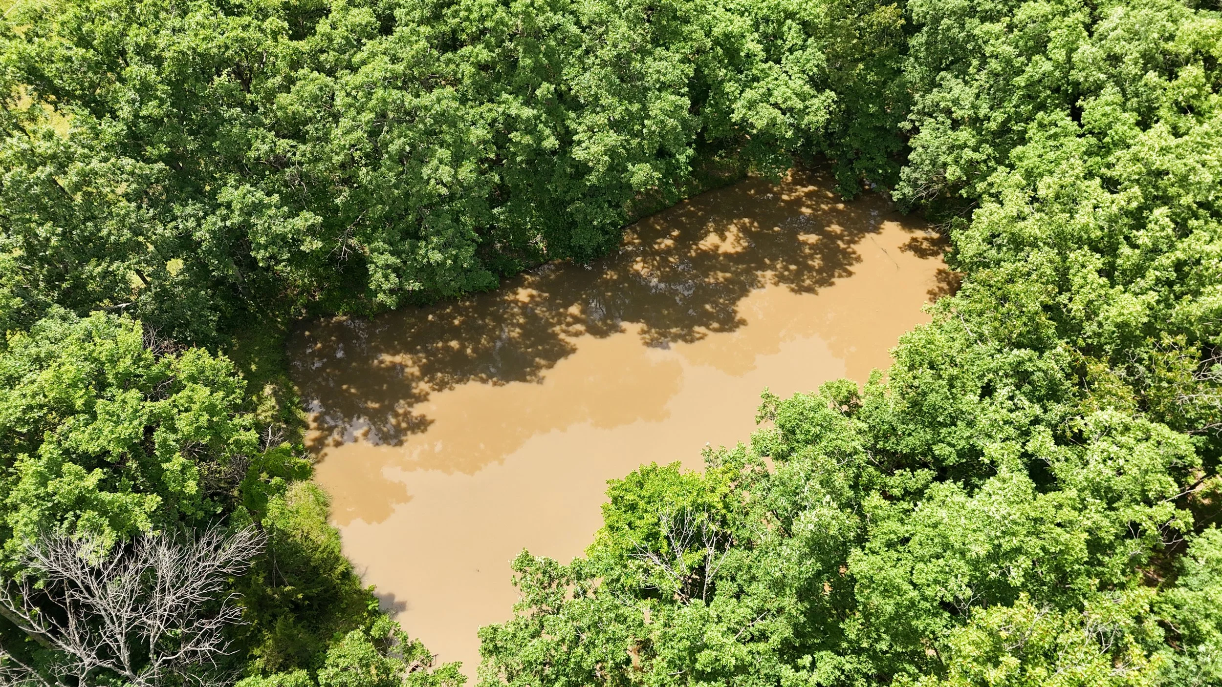 Pond-2.jpg