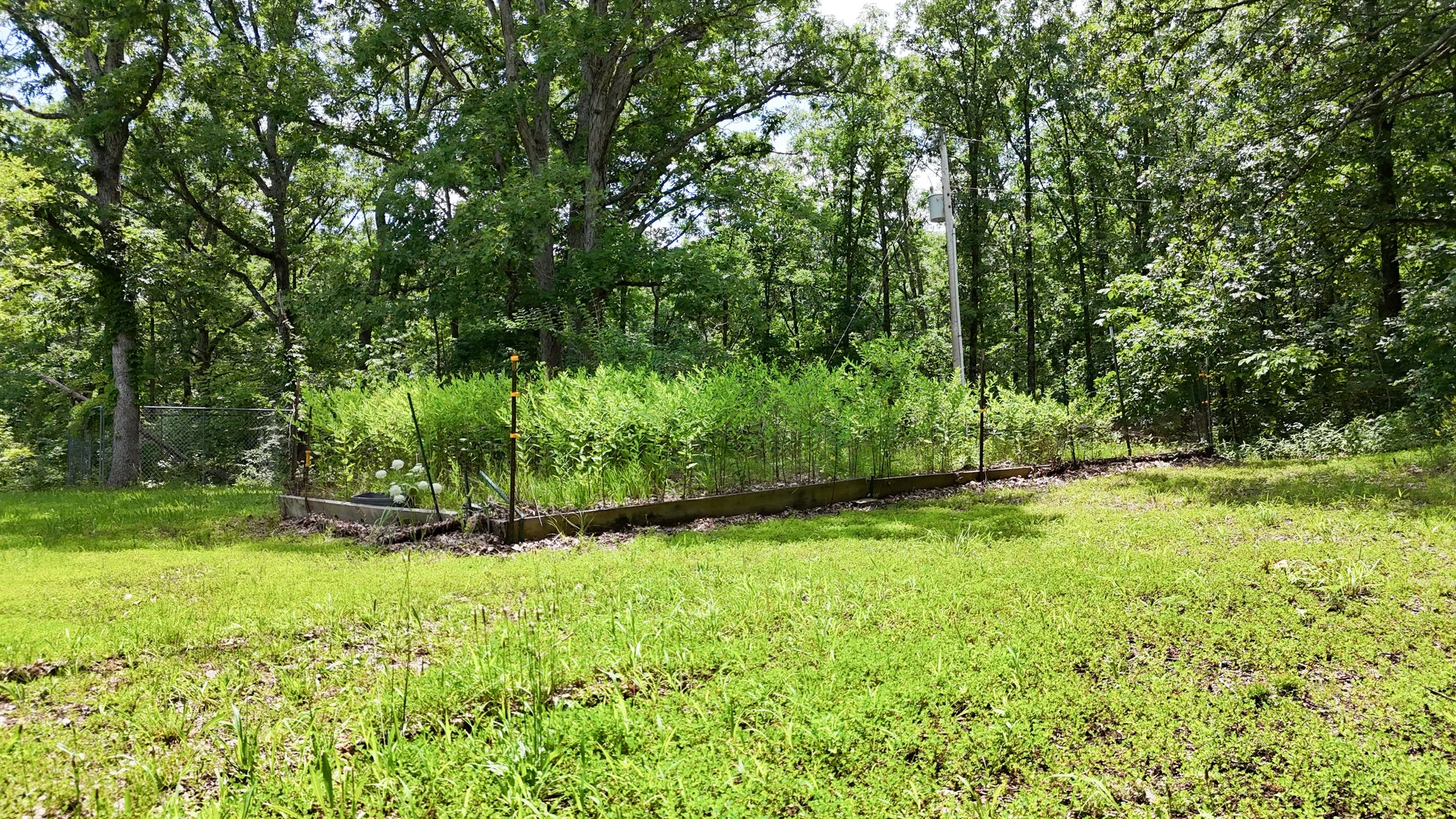 Garden-2.jpg