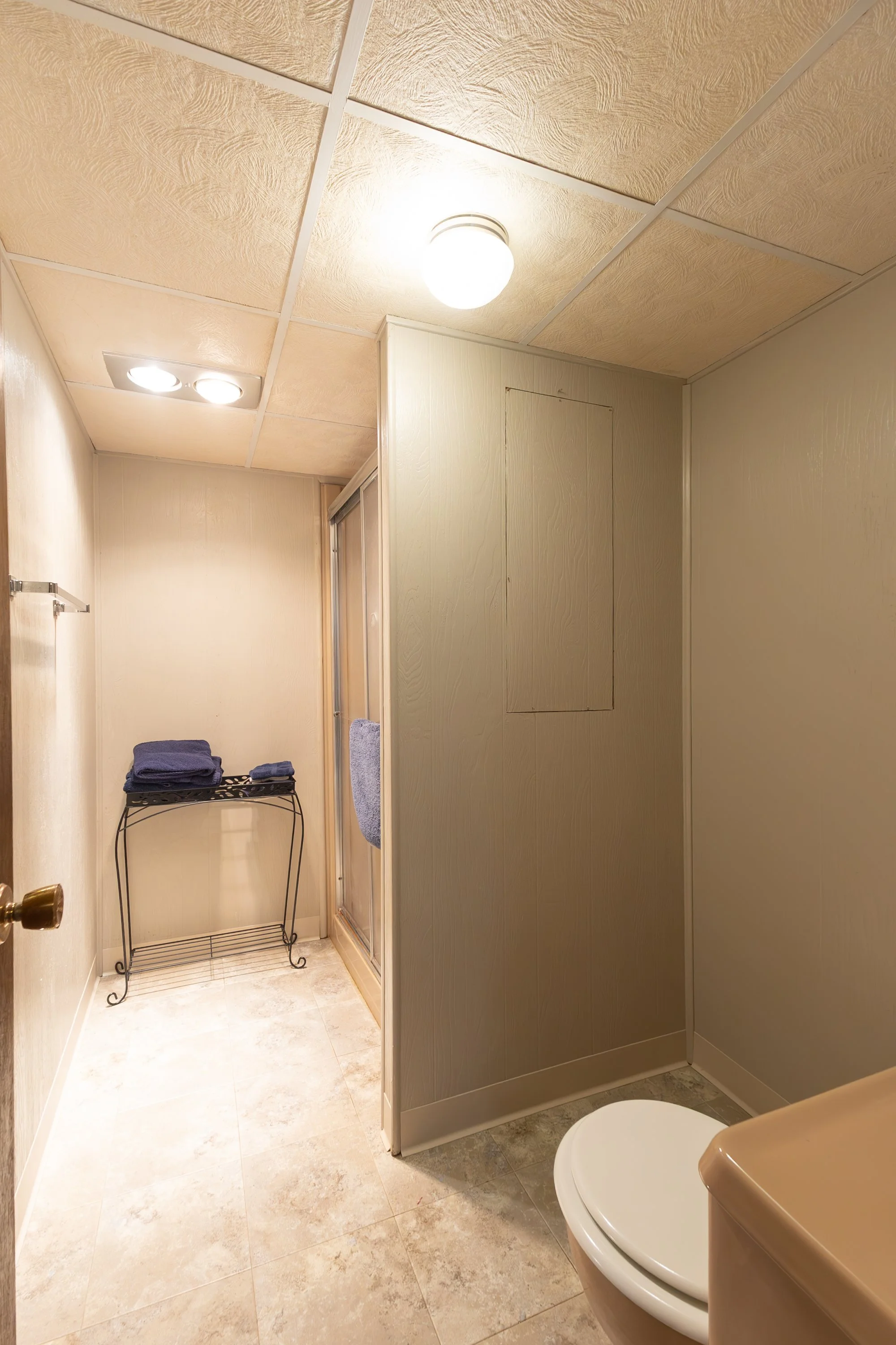 Basement bathroom.jpg