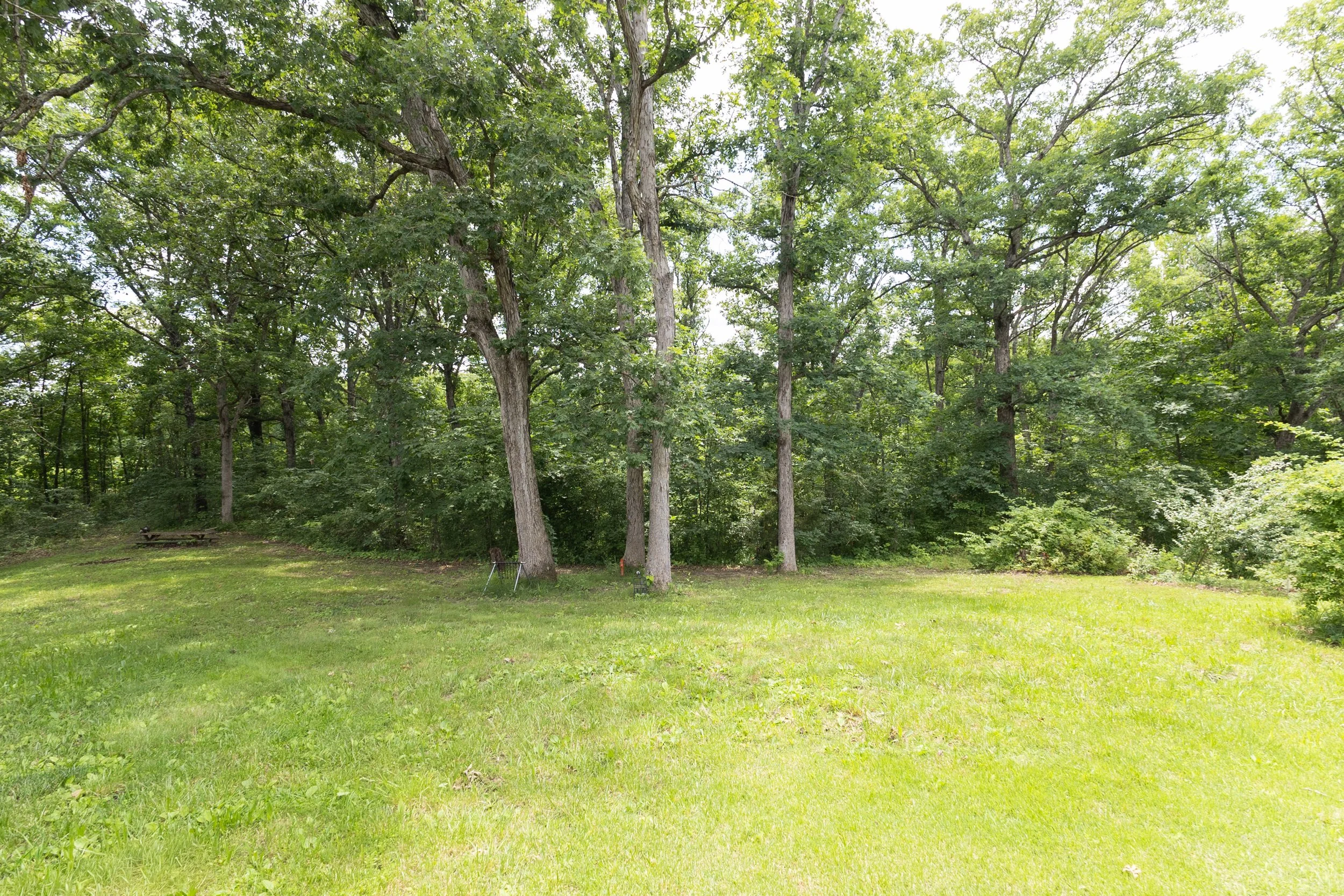 Backyard.jpg