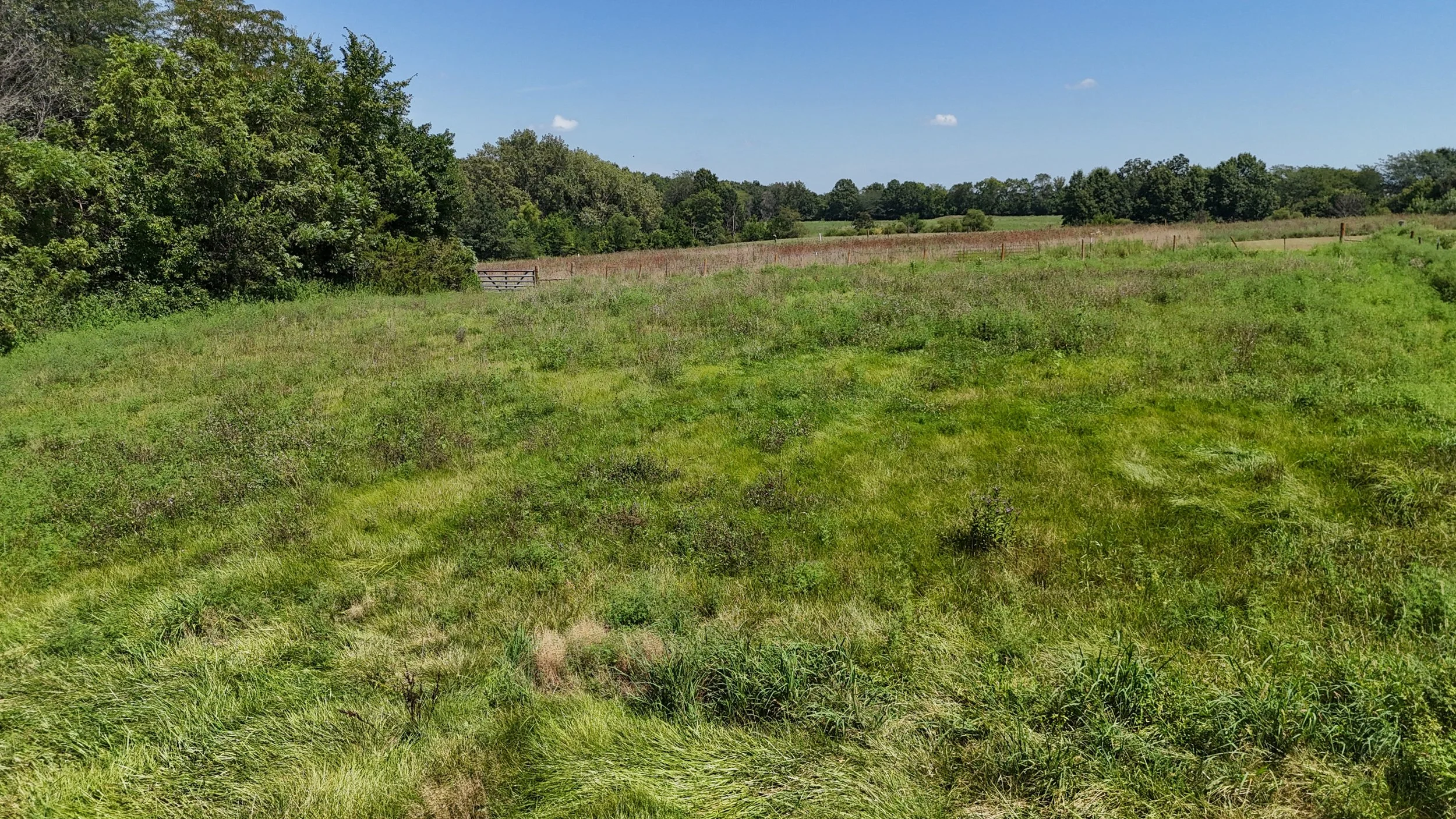 Field.jpg