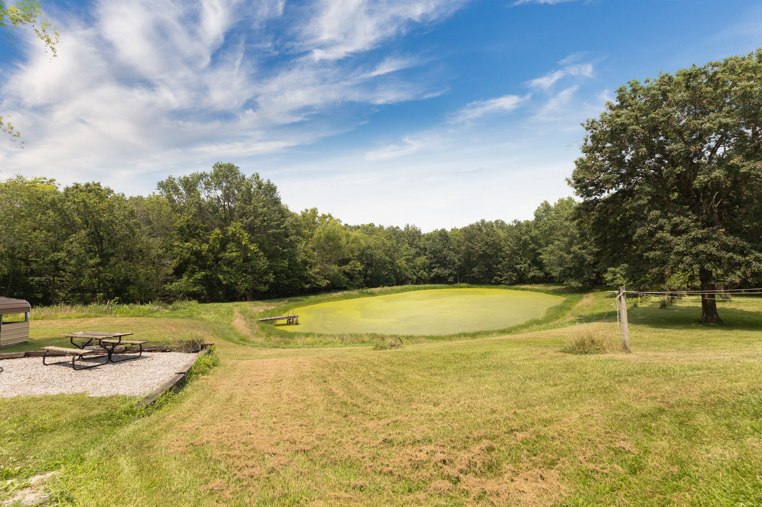 View of back yard from house.jpg