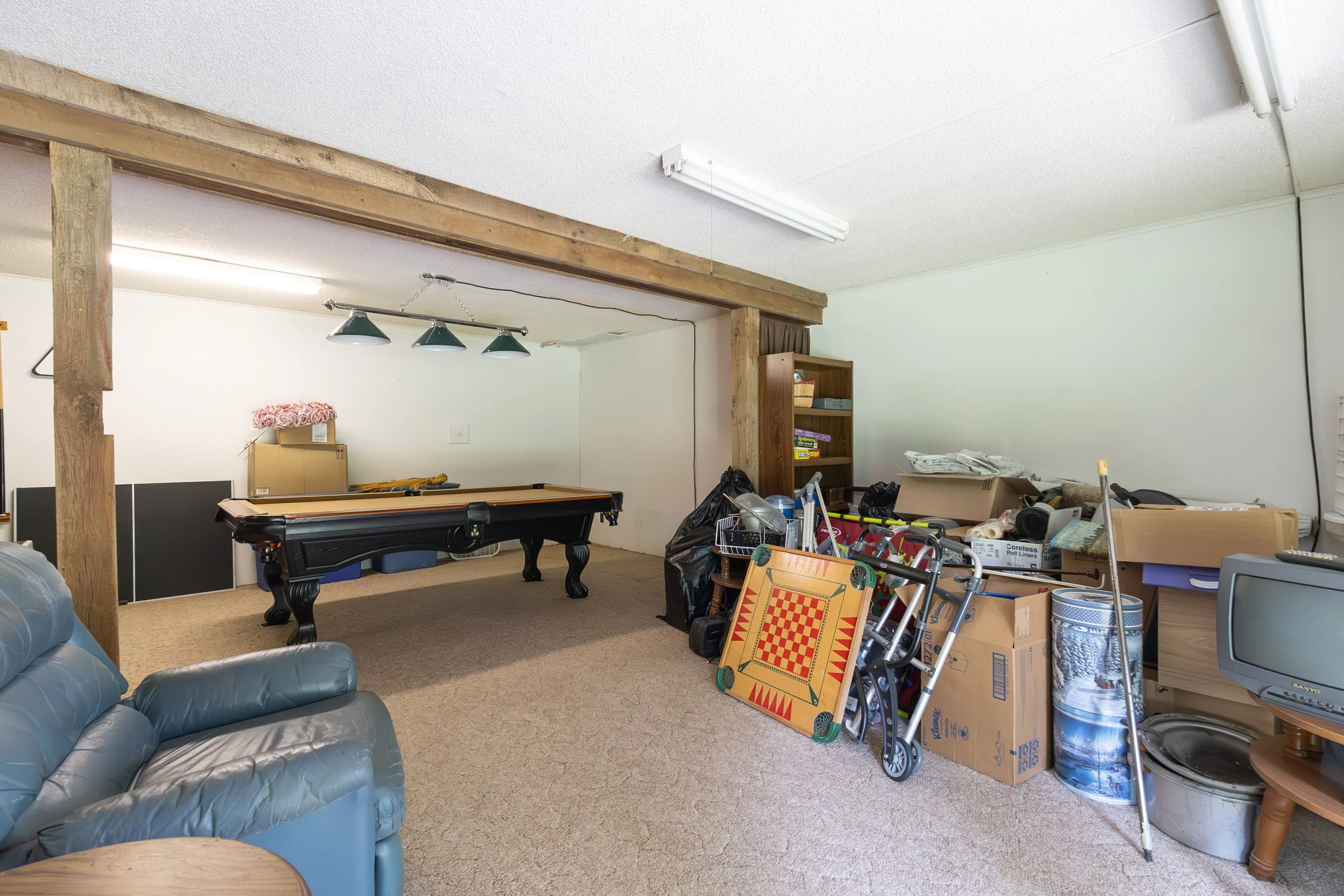 Basement Living room-1.jpg