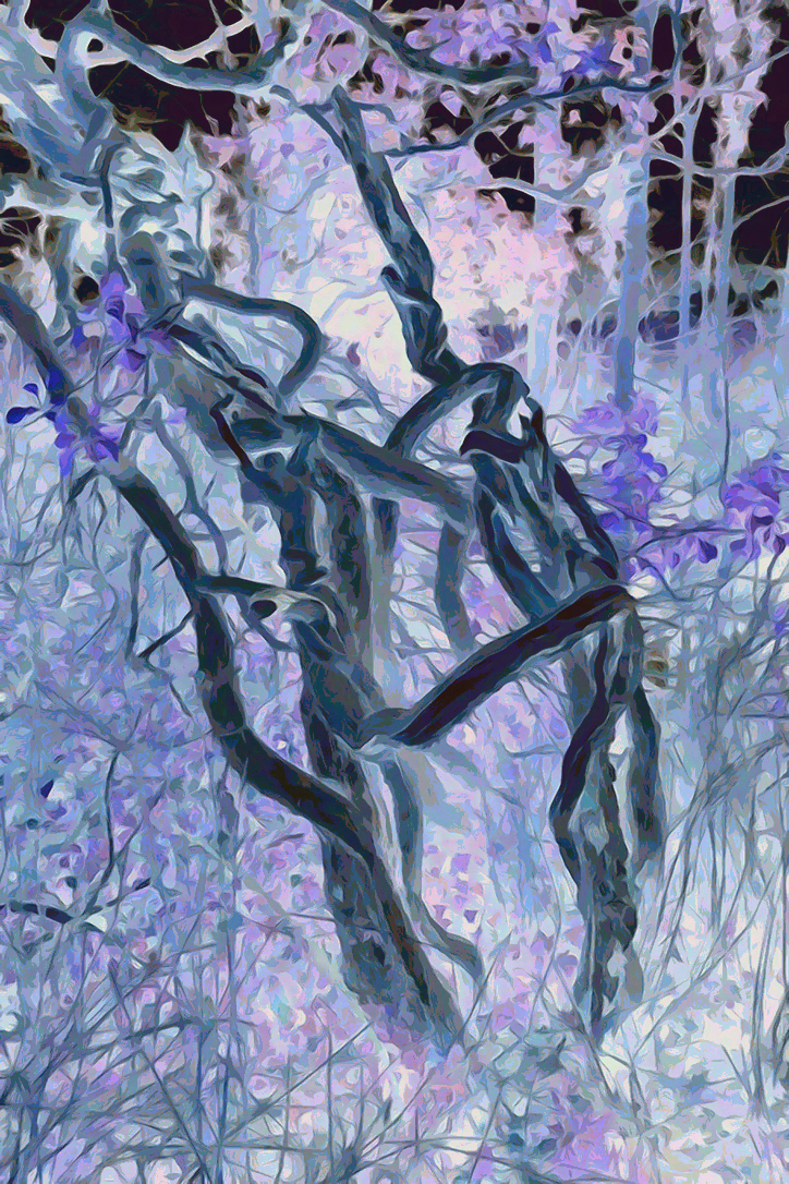 Trees001m.png