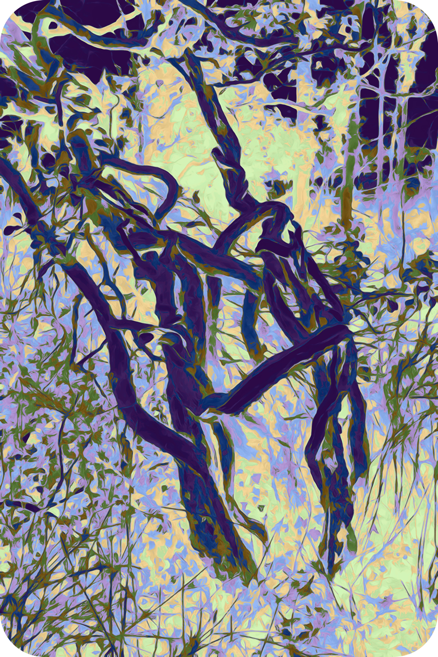 Trees001c Large.png