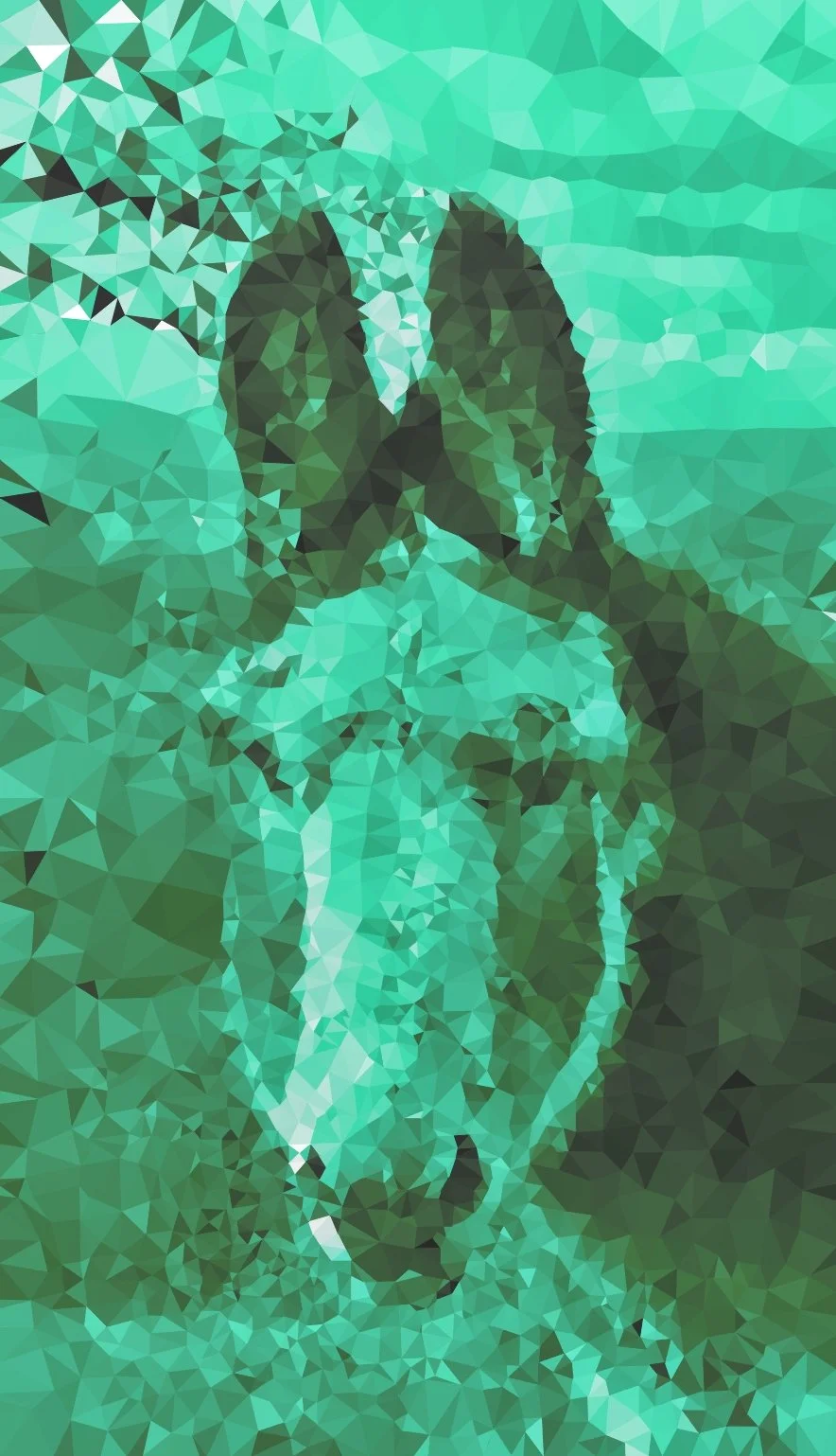 DONK004.jpg
