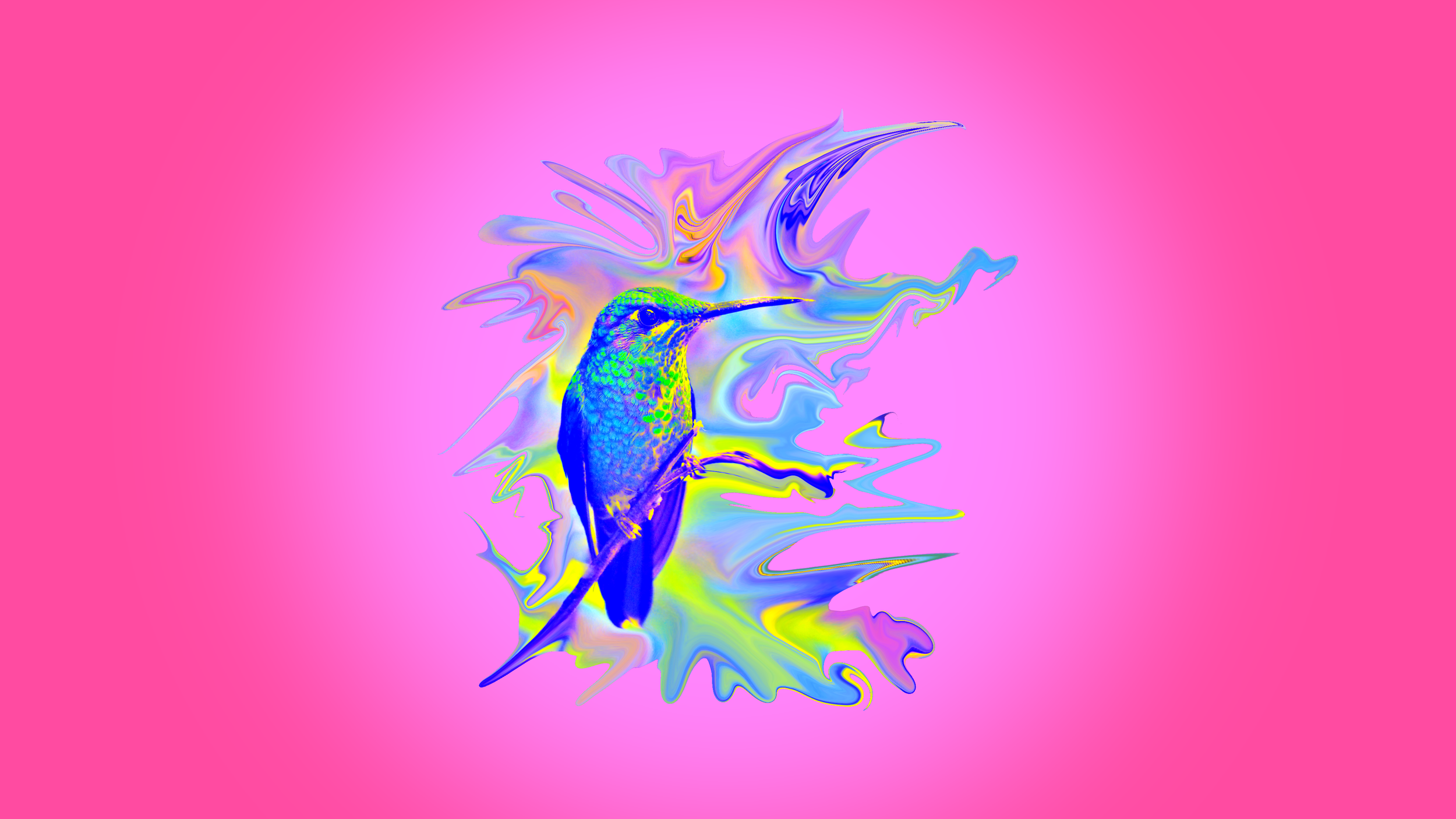 Hummingbirdweb1.png