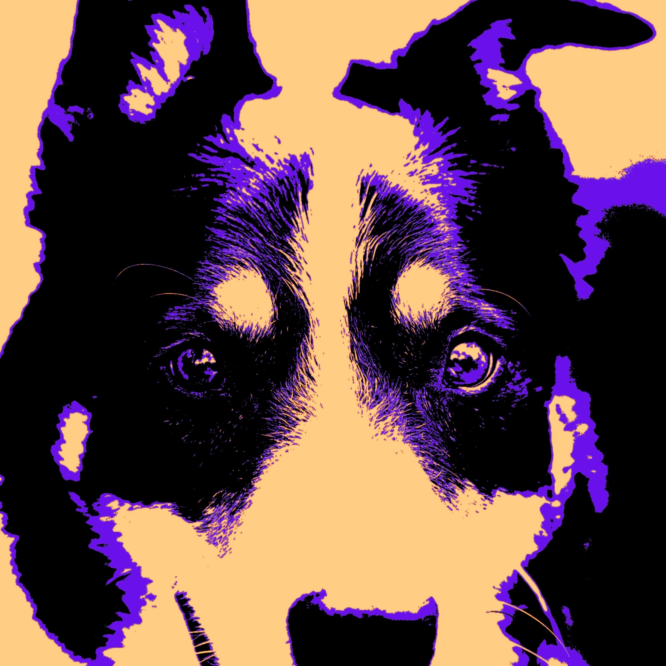Tod008d.jpg