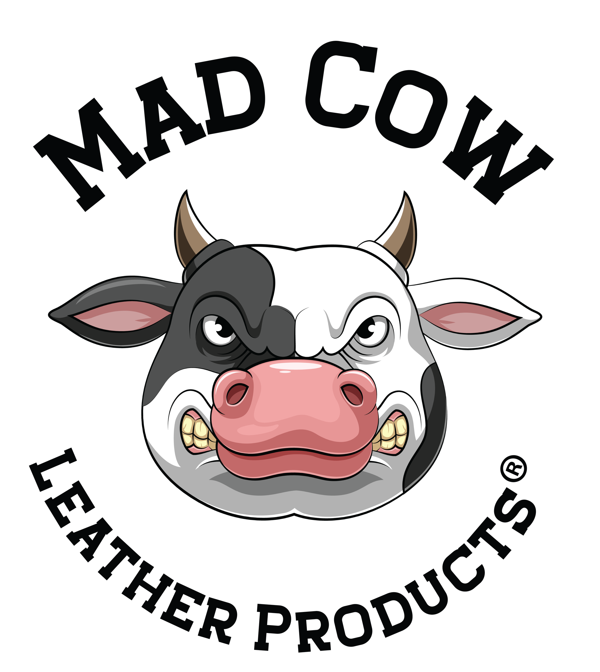 Waterproofing Spray — Mad Cow Leather Products