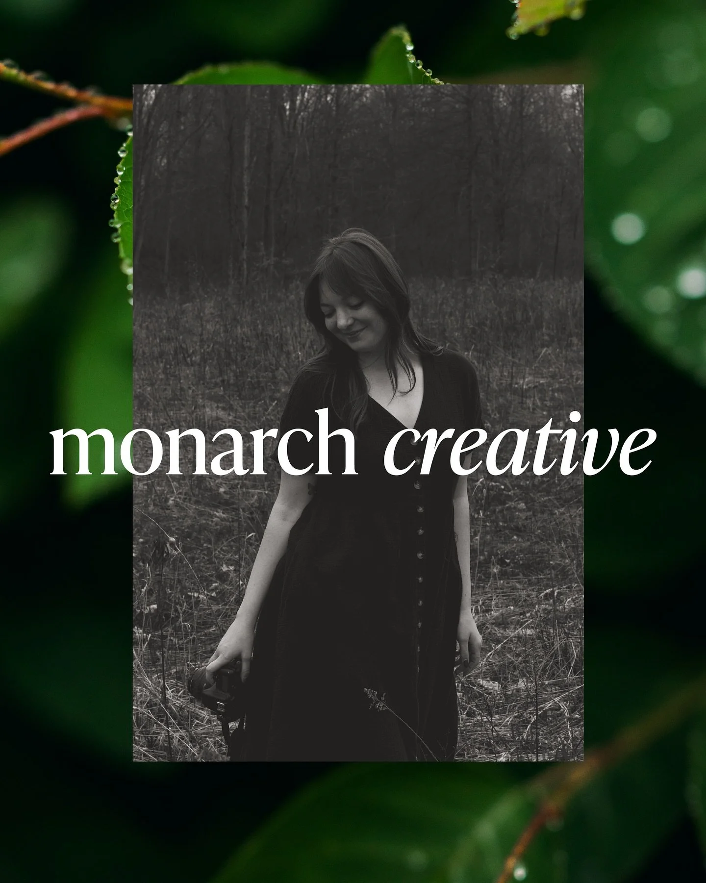 &bull; New season of life &bull; new era &bull; new brand &bull;
You may know me as DanarisPhoto, but I&rsquo;m beyond excited to welcome you to Monarch Creative!!

This rebrand means the world to me. It reflects the growth I&rsquo;ve experienced in 