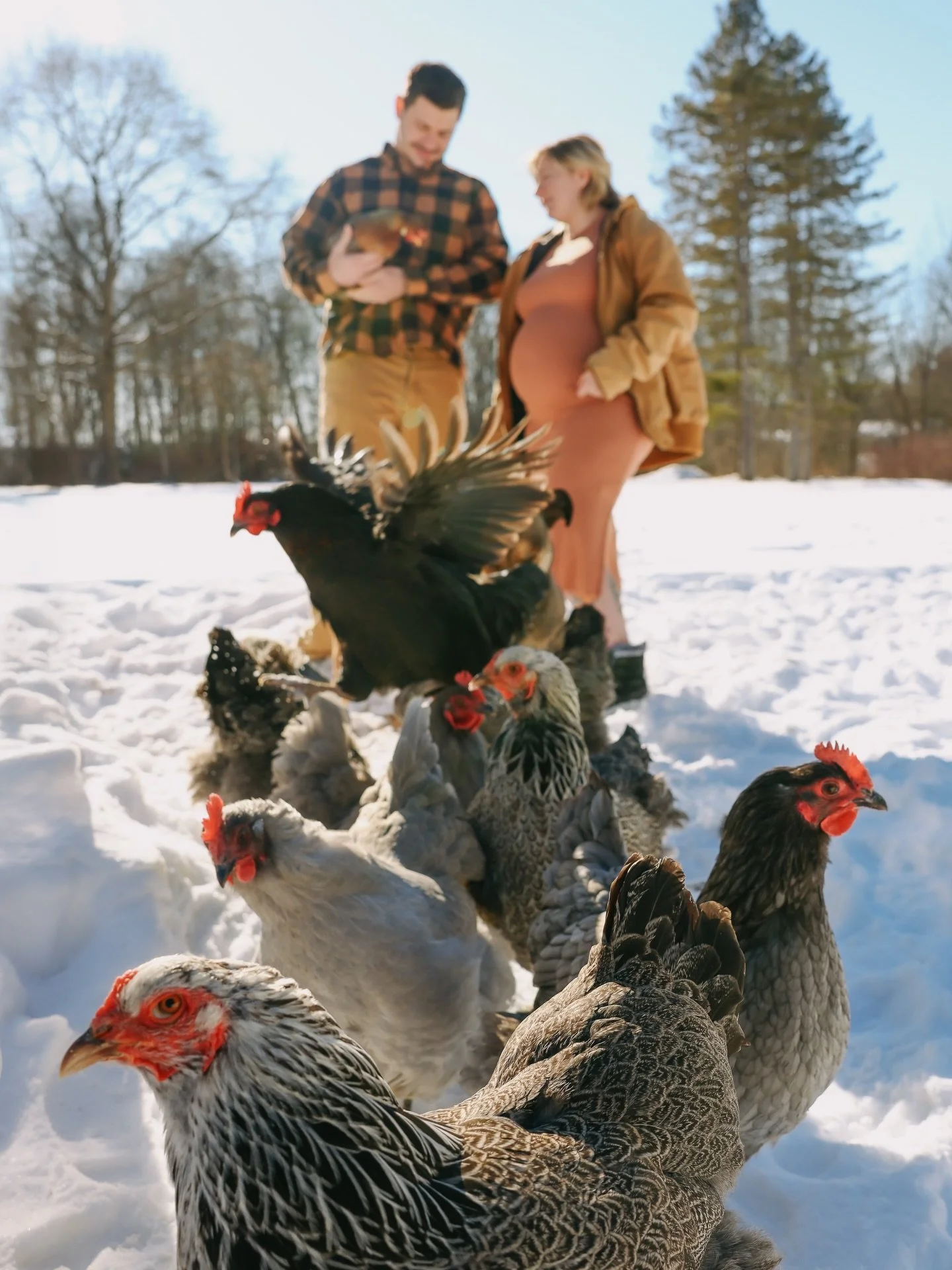 My lil niece or nephew is in these!!!🥹🤭 I can&rsquo;t believe Erin &amp; Tyler are gonna be parents so soon! The first baby really in the family. I can&rsquo;t wait to spoil you lil baby!!!❤️

#monarchcreative #maternityphotos #clevelandmaternity #