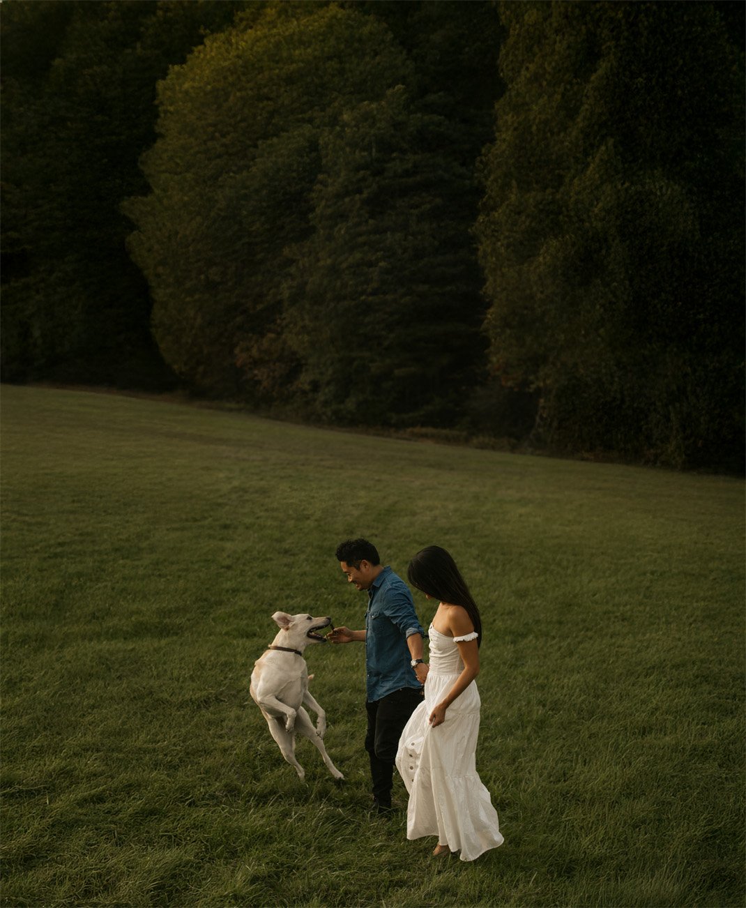 A man and woman playing with a white dog in a grassy field surrounded by trees.