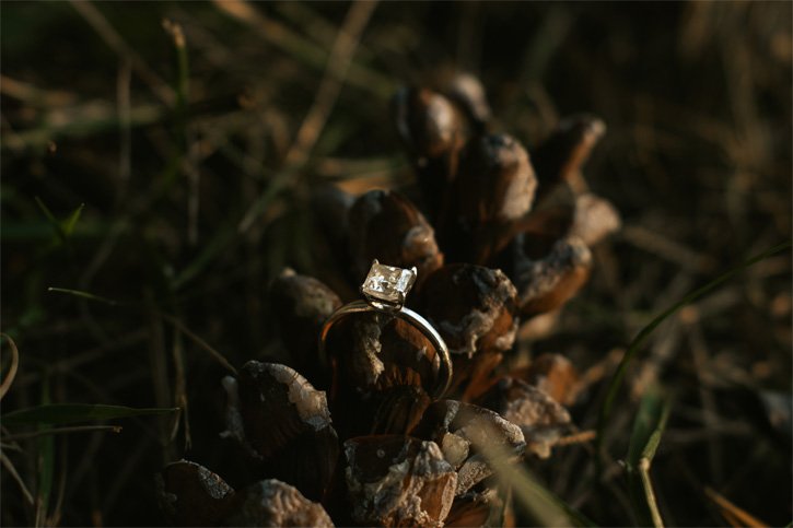 A diamond ring placed on a pine cone in a natural outdoor setting.
