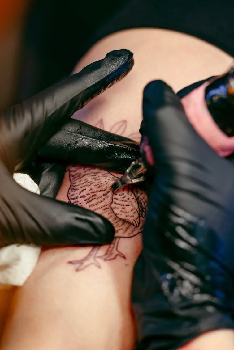 Person with black gloves getting a tattoo of a bird on their arm.