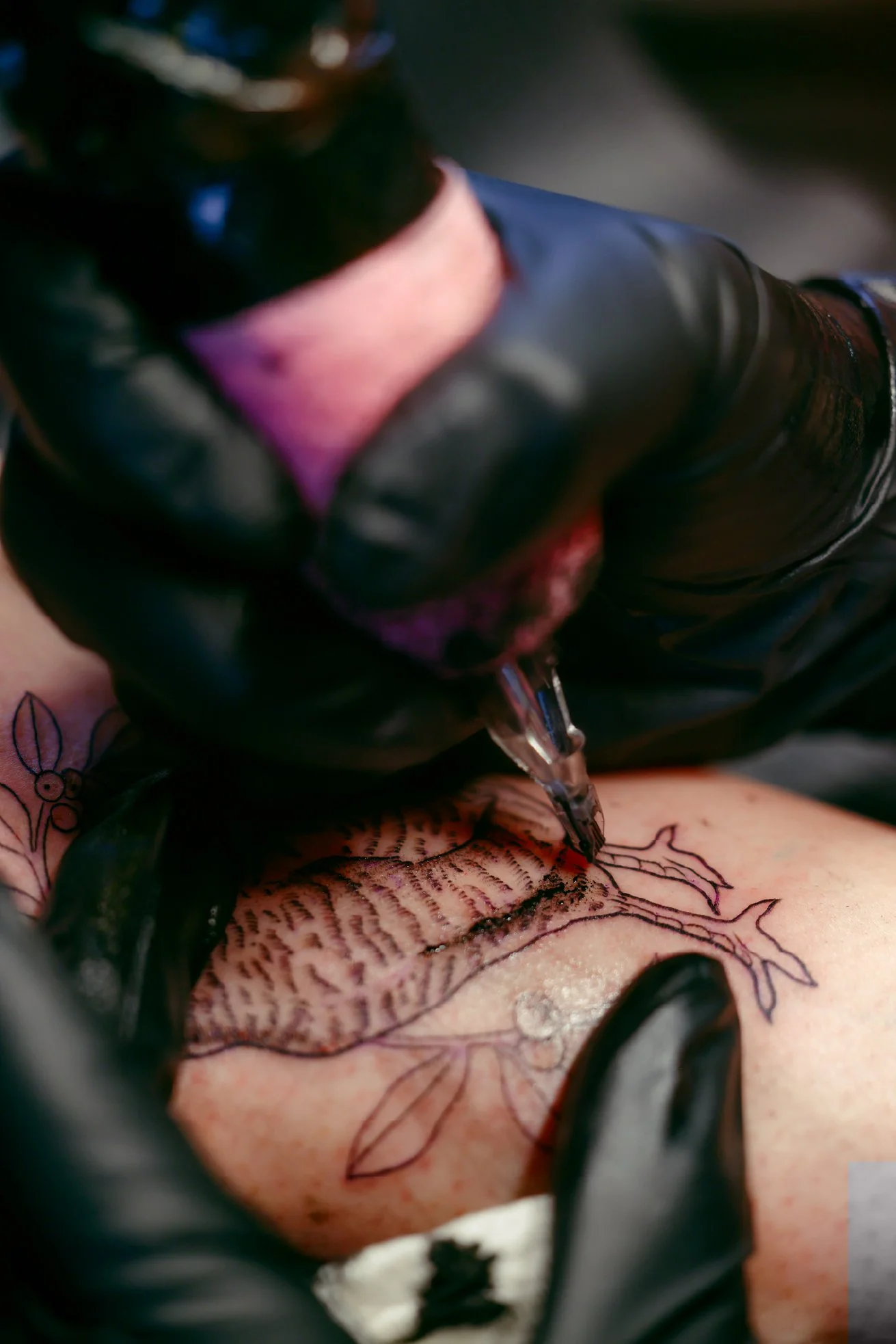 Close-up of a tattoo artist's gloved hand using a tattoo machine on a person's forearm, creating a detailed black ink tattoo.