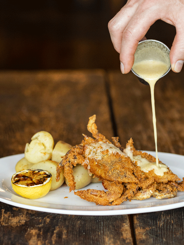 Fried fish fillet with potato and grilled lemon on a white plate, with creamy sauce being poured over the fish.