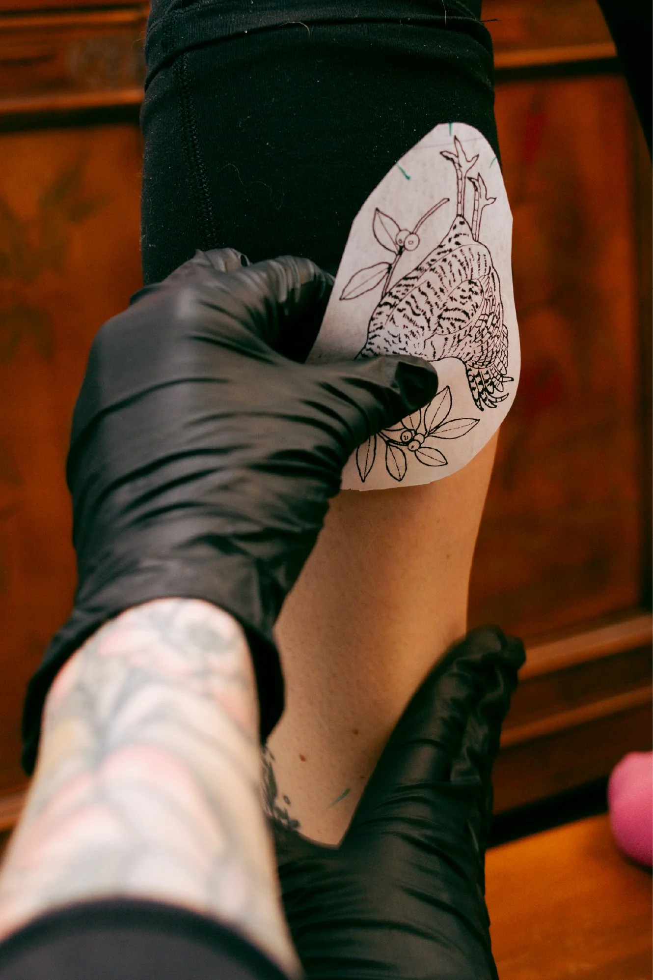 A person with tattoos on their arm wearing black gloves is holding a piece of paper with a line drawing of a bird and leaves on a person's thigh during a tattoo session.