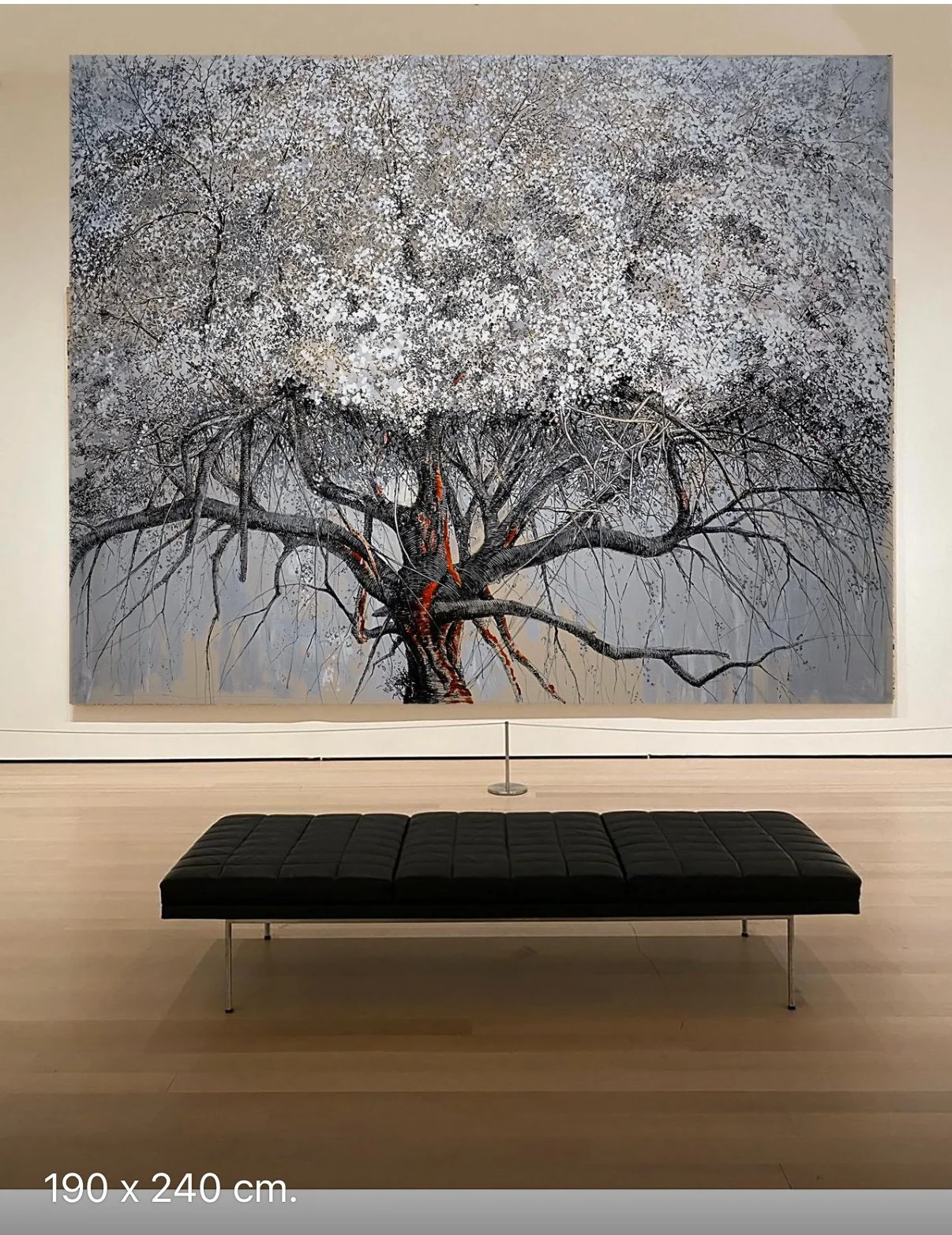 IMG_3106 - Vanessa Moos.jpeg