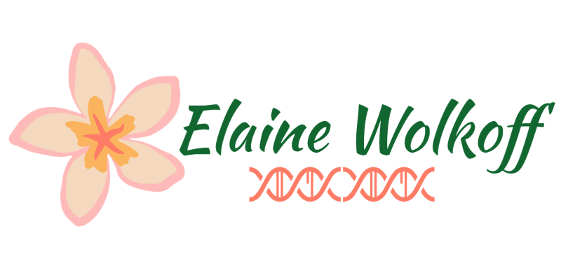 Elaine Wolkoff
