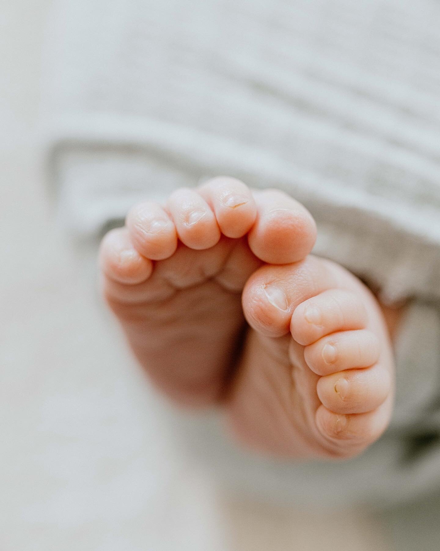10 fingers and 10 toes 🥲 I love including detail shots like these to each newborn gallery