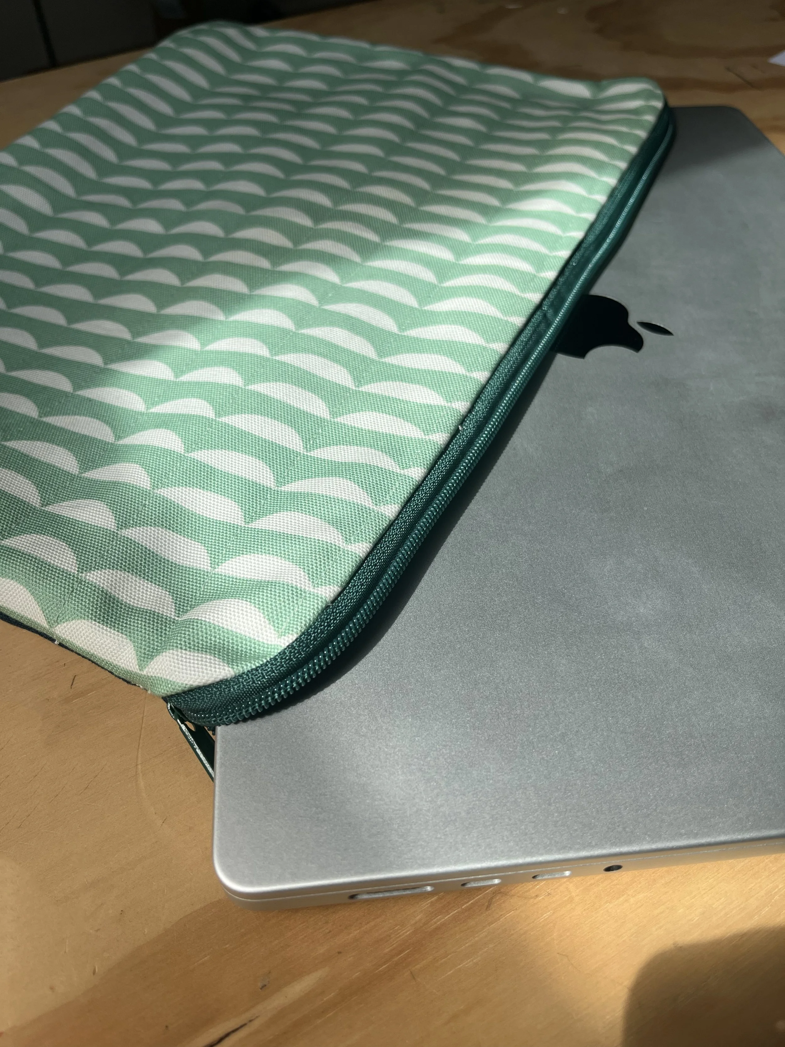 Scallop Laptop case - mint.jpg