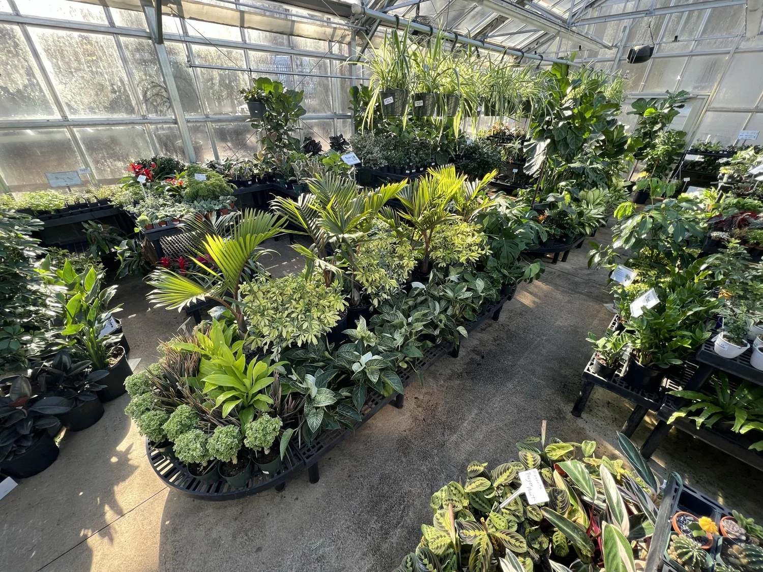 Green Fields Nursery Baltimore City's Premier Garden Center