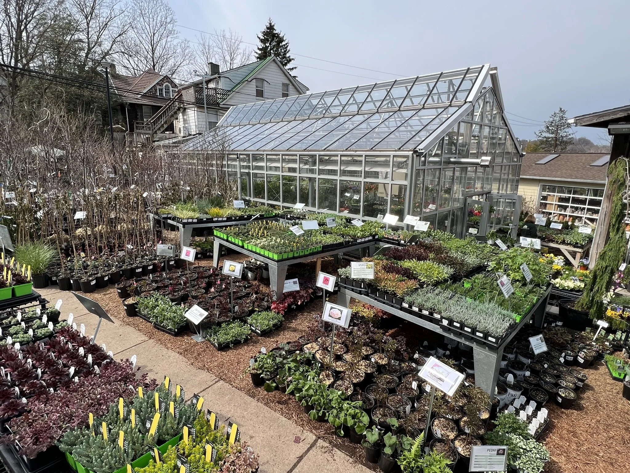 Garden center with potted plants and seedlings outside a greenhouse