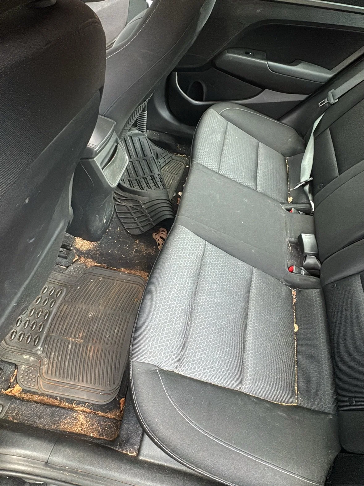 Ride with a shine to compliment your style!
Visit evsquisite.com
#evsquisite #mobiledetailing #philadelphia #beforeandafter #floormats #cars #clean #detailing #stripes #appointments #booknow #carcleaning #detailerofinstagram #flyeaglesfly🦅 #gobirds