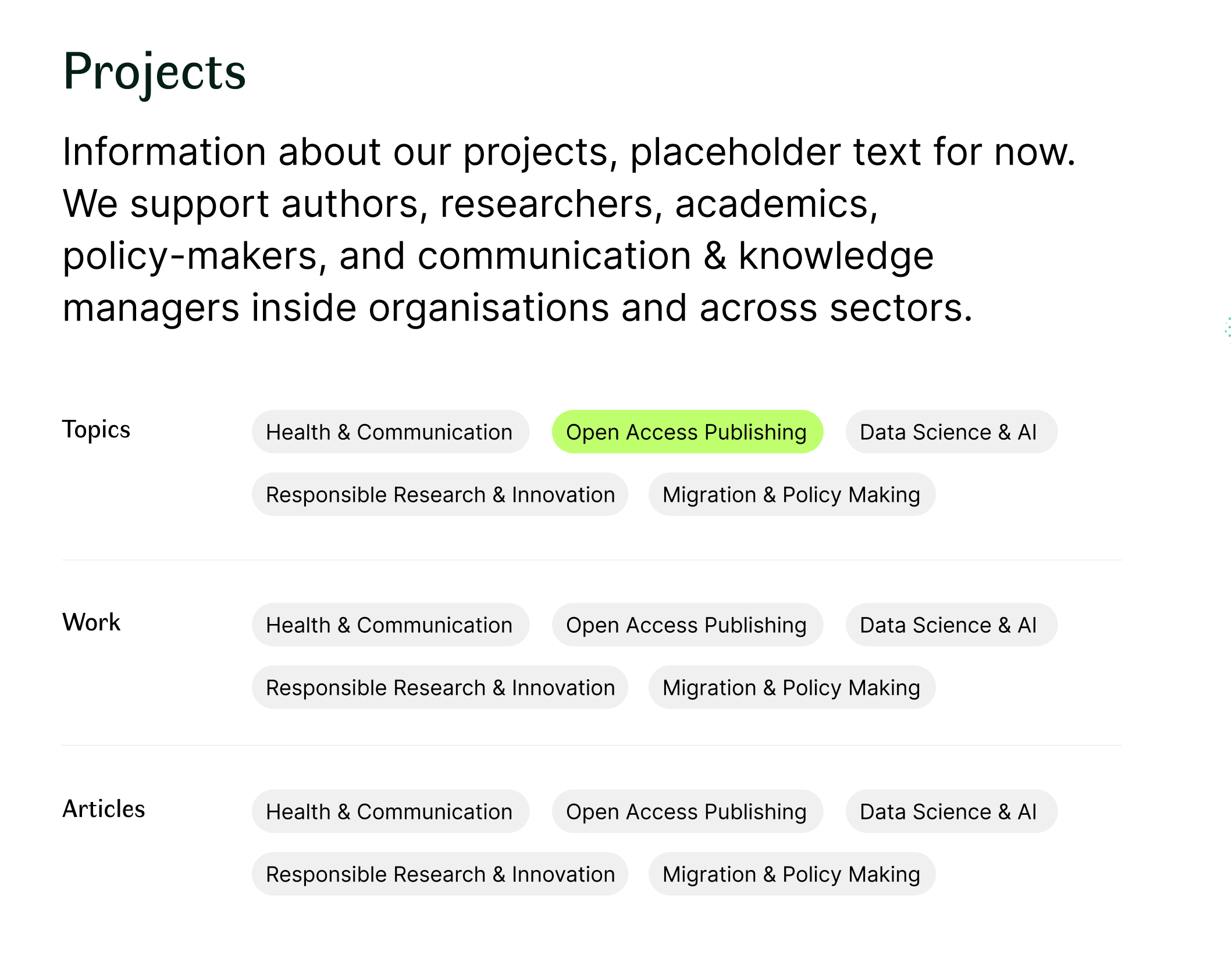 Work-in-progress projects page with topic filters and a two-column grid of project cards, using a clean editorial layout and muted green accents.