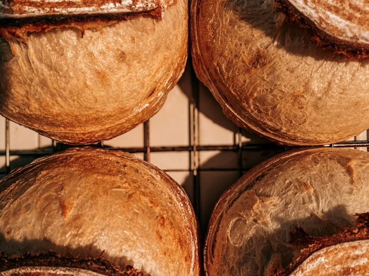 Cambria Sourdough Co.