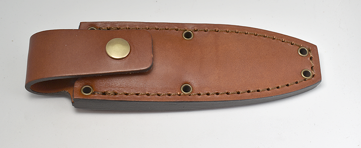 NKD sheath lizard.png