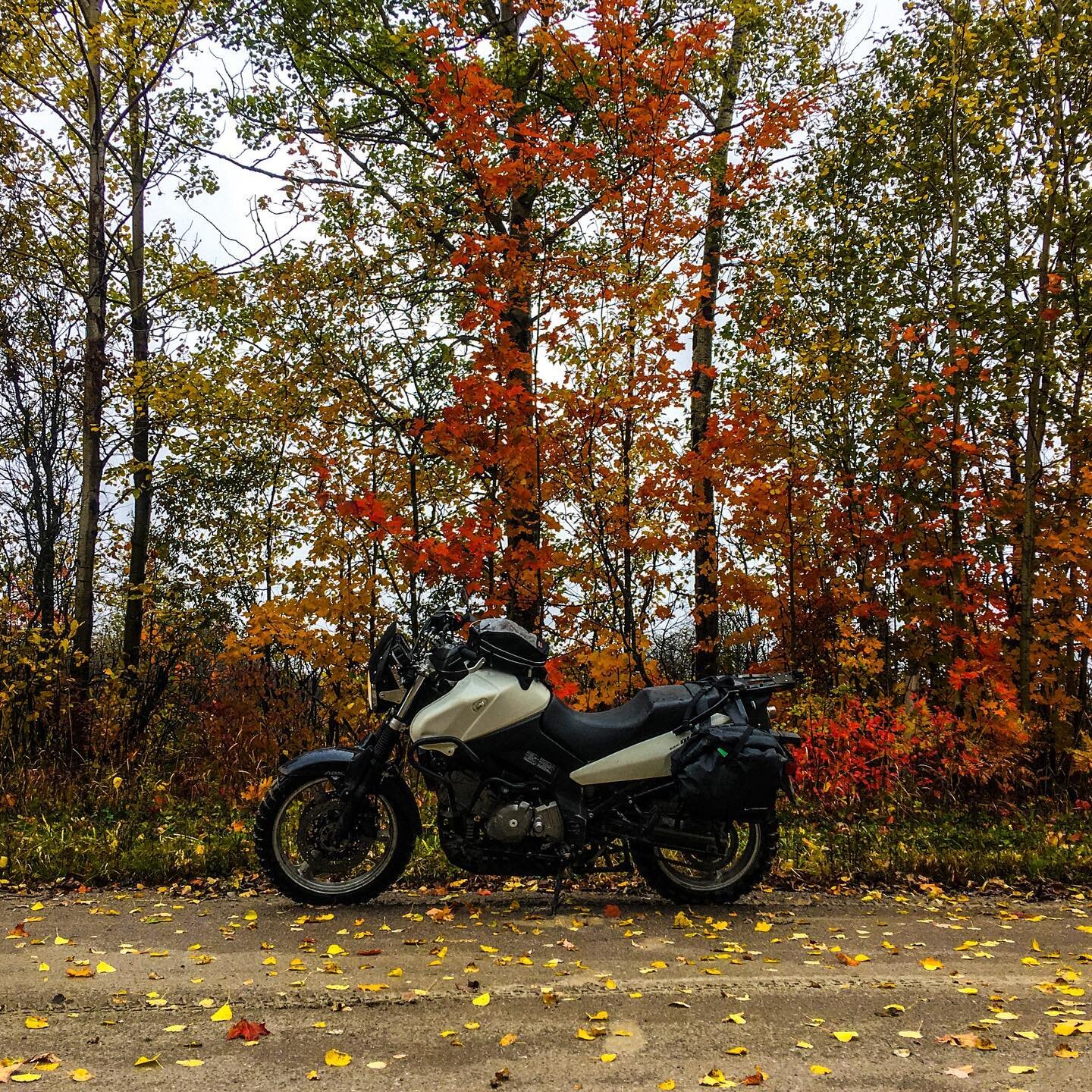 Rain or shine (rain mostly), wet or dry (wet mostly), squeezing in that last (non-commuting) ride of the season
.
.
.
#lastrideoftheseason #fallcolours #canadianfallseason #suzuki #dl650vstrom #dl650 #suzukivstrom #vstrom #vstrom650 #vstrom650adventu