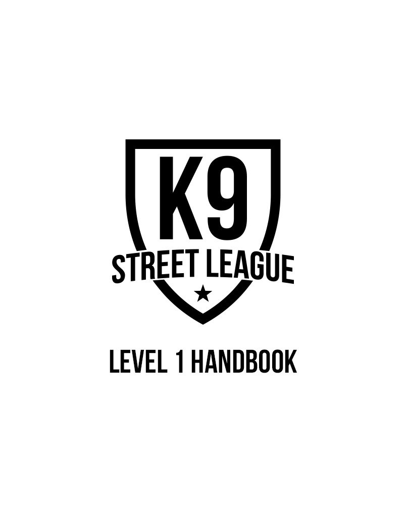 level 1_web pic copy.jpeg