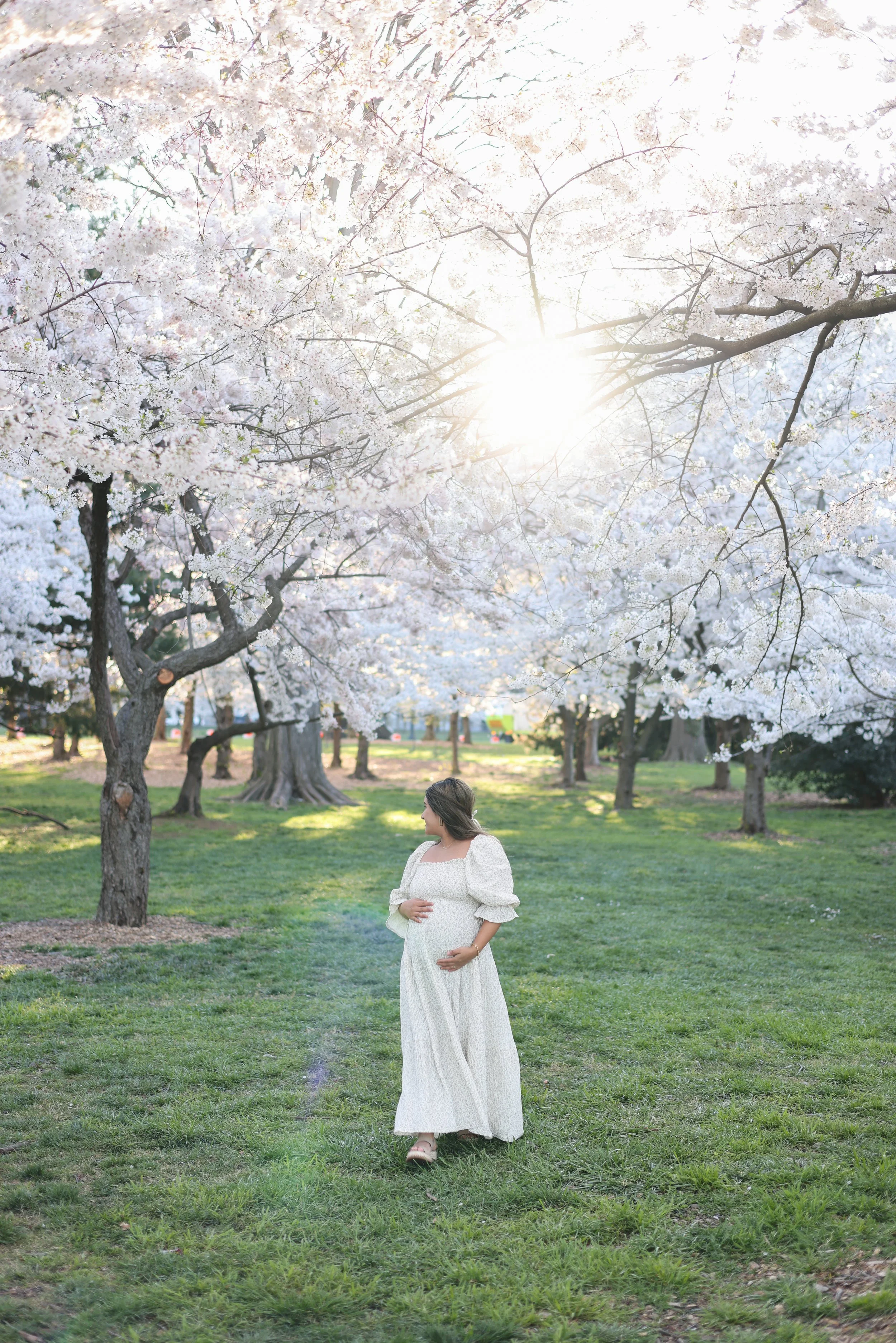 Washington DC Maternity Photos | Cherry Blossoms | Tidal Basin