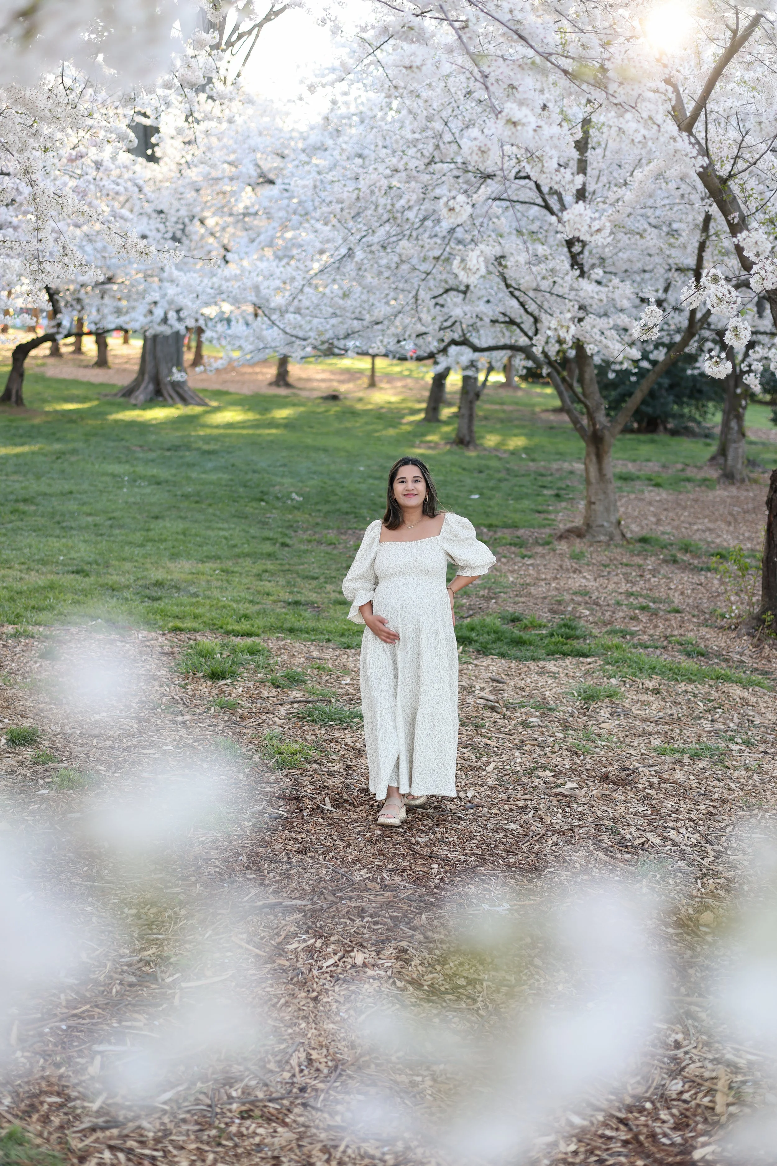 Washington DC Maternity Photos | Cherry Blossoms | Tidal Basin