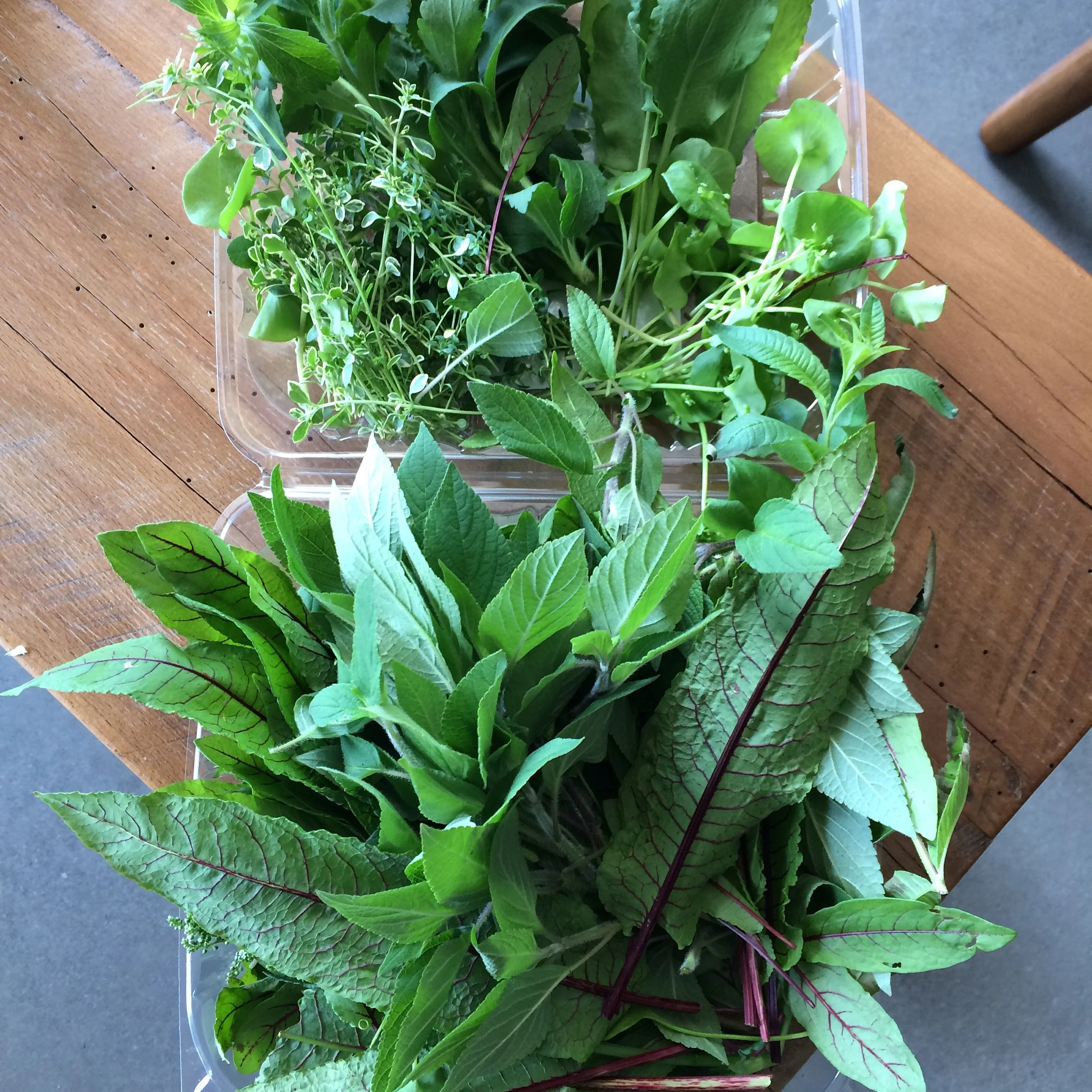 Eureka Springs Farmers Market