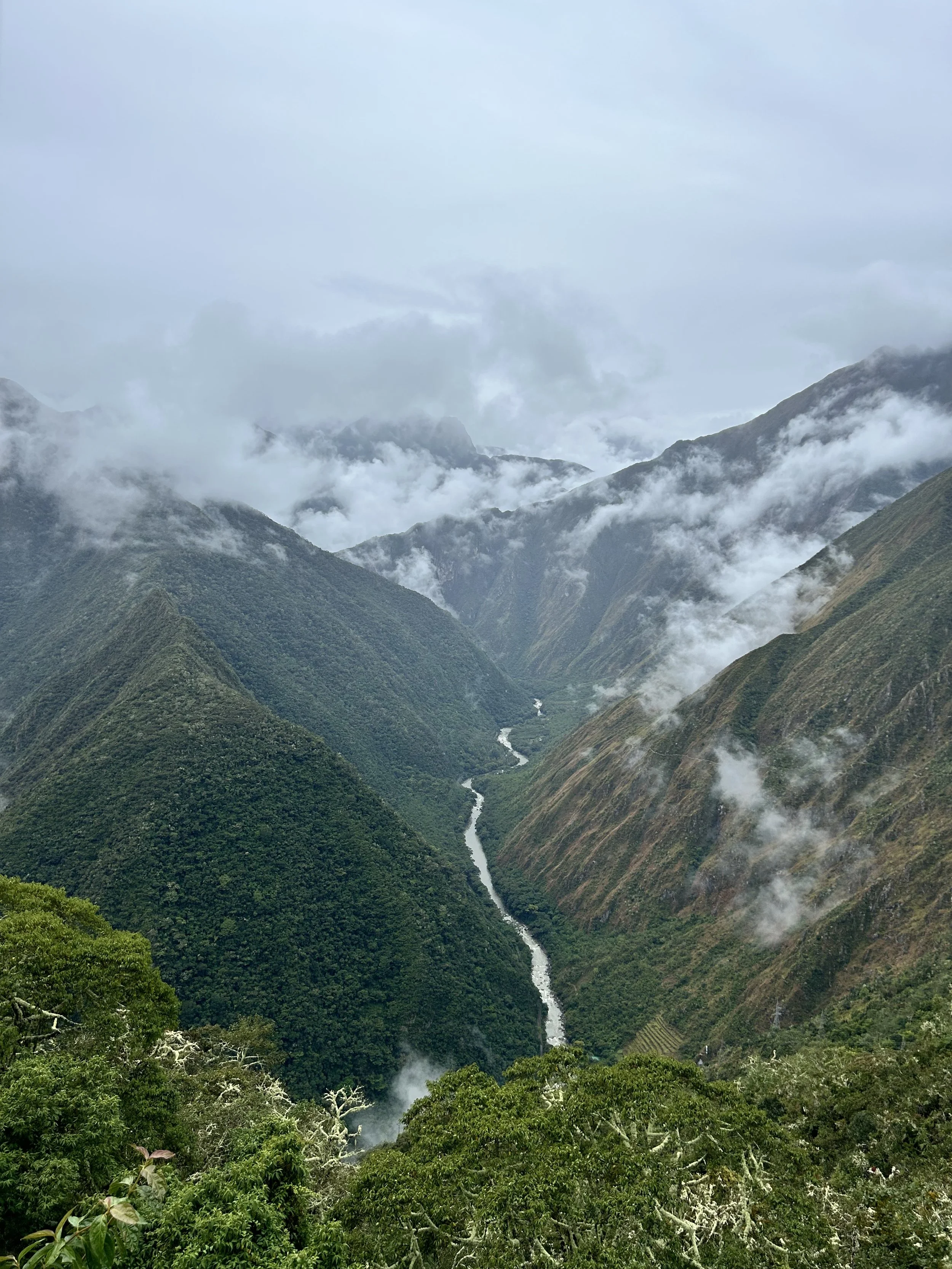 Celebration of Earth Day