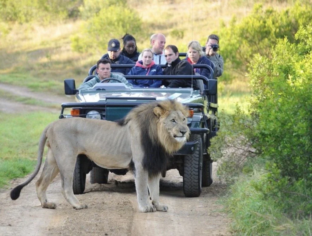 Adventure to South Africa