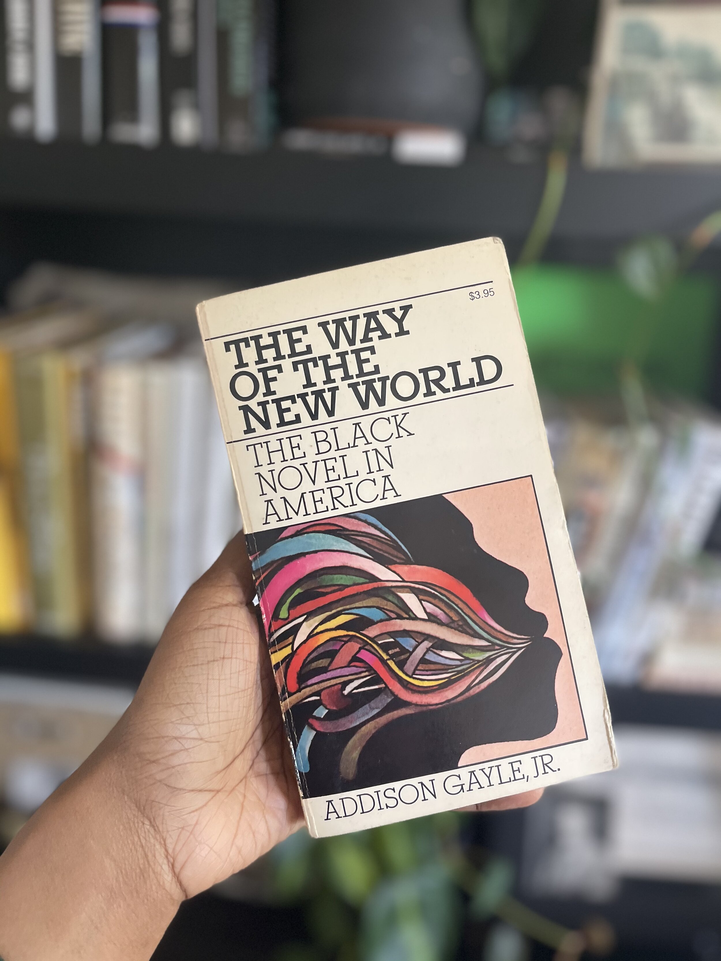 The Way of the New World:The Black Novel in America